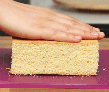 Sponge Cake, Pastry Maestra
