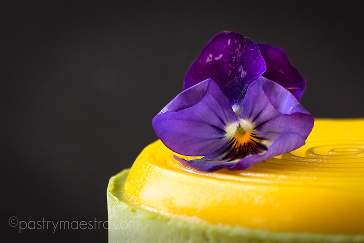 Blueberry, Matcha and Passion Fruit Mini Cakes, Pastry Maestra